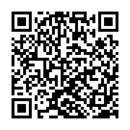 QR code for GLV313