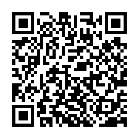 QR code for GOL619