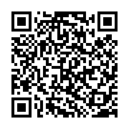 QR code for GTV419