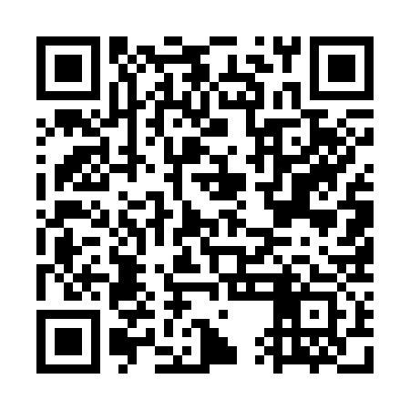 QR code for GUE333
