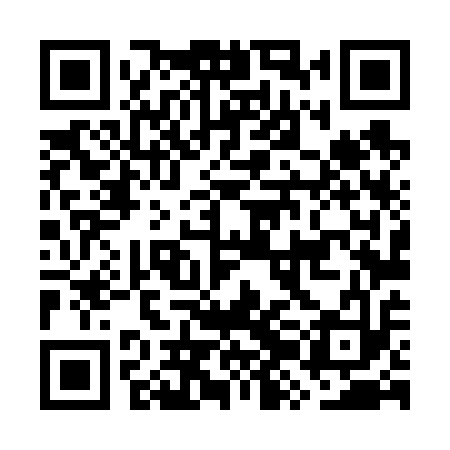 QR code for GZL613