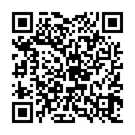 QR code for GZT509
