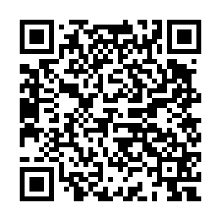 QR code for HCG461