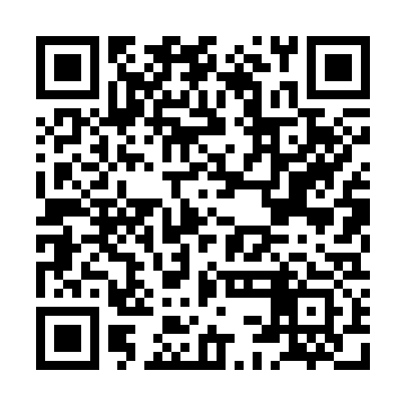 QR code for HCL333