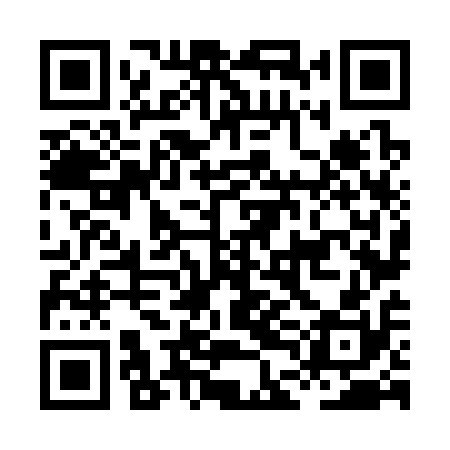 QR code for HDN310