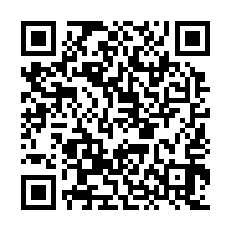 QR code for HHN313