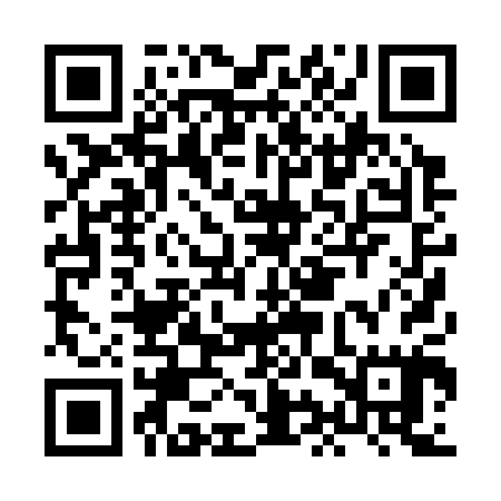 QR code for HIP305