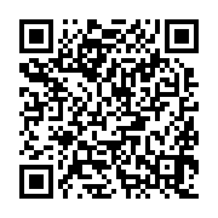 QR code for HJV290