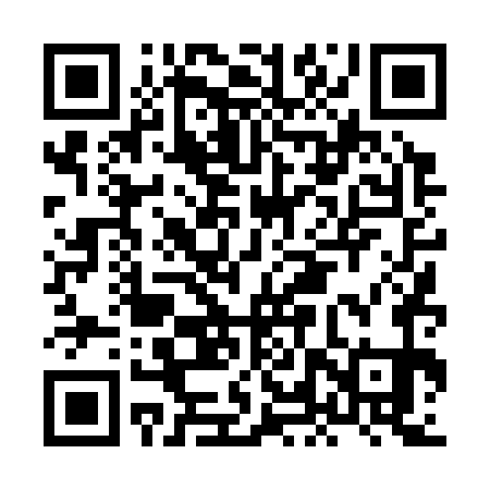 QR code for HLT371