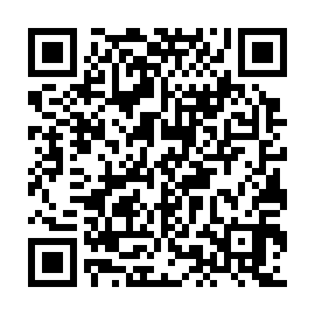 QR code for HMG310