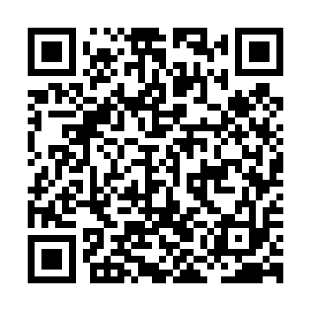 QR code for HMG413