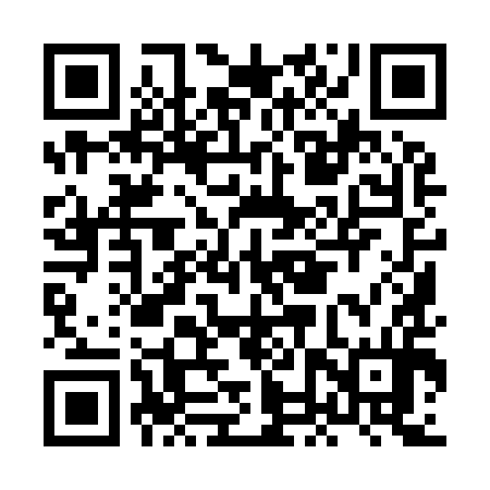 QR code for HNY994