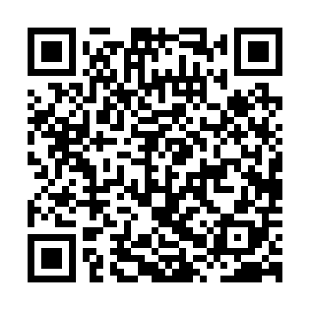 QR code for HPP208