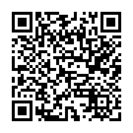 QR code for HSK333