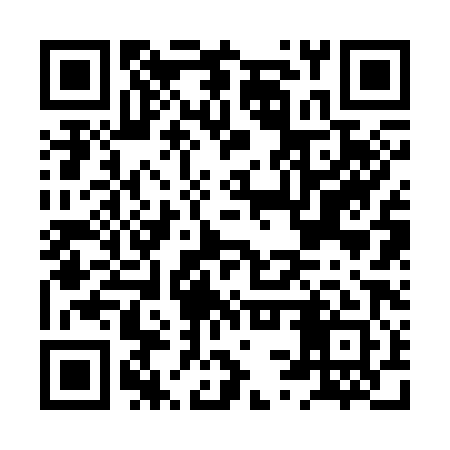 QR code for HSR381