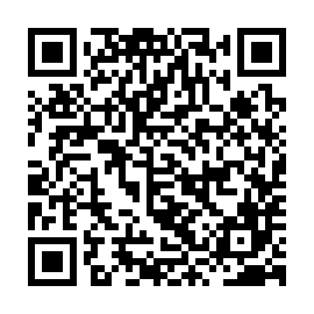 QR code for HSS386