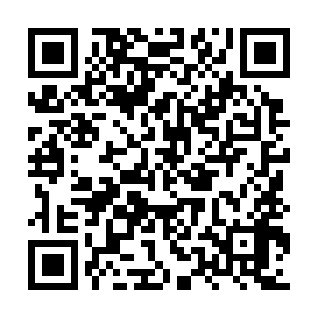 QR code for HUL398