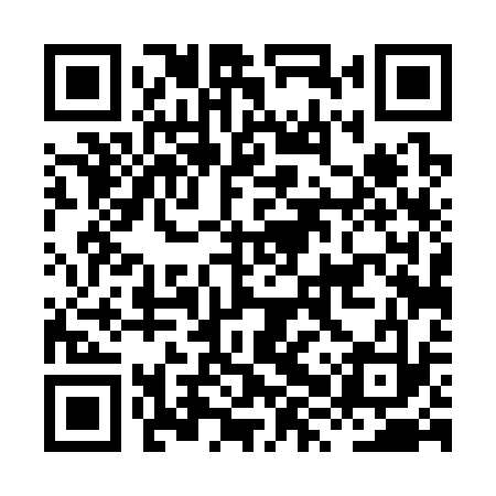 QR code for HXT333