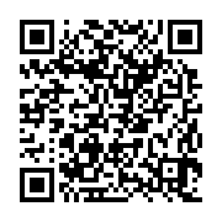QR code for HYB383