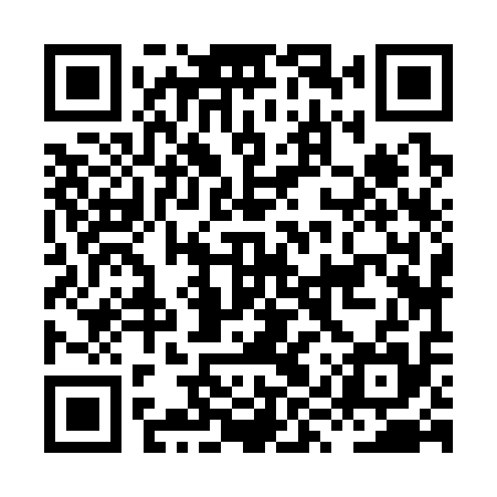 QR code for HYZ315