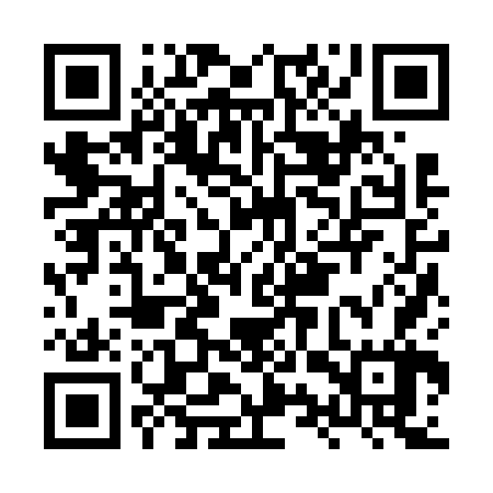 QR code for HYZ667