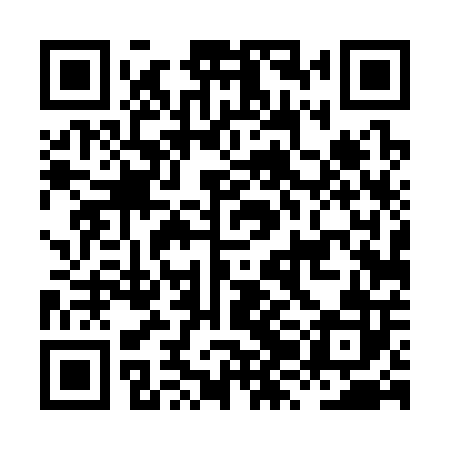 QR code for HZD302