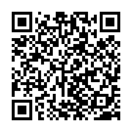 QR code for HZN499