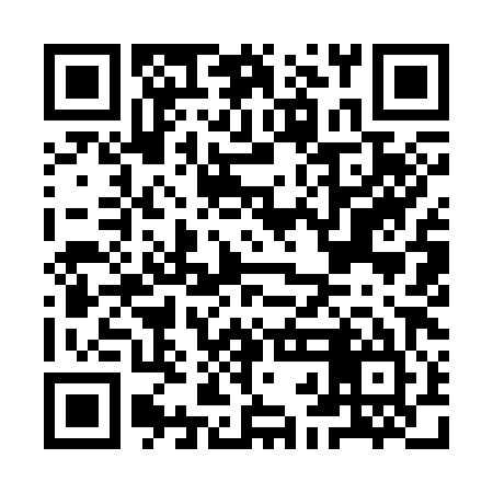 QR code for IBI385