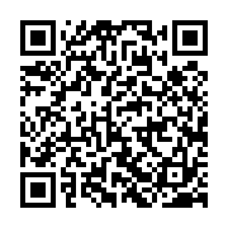 QR code for IBT533