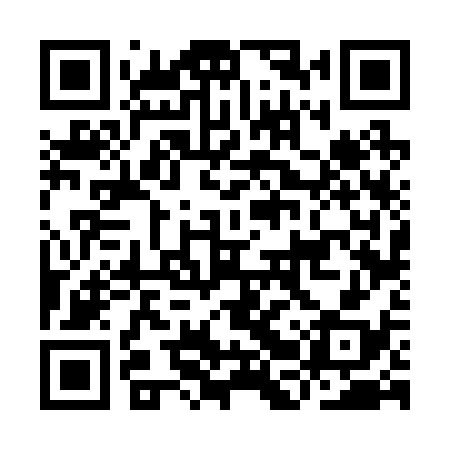 QR code for IBV238