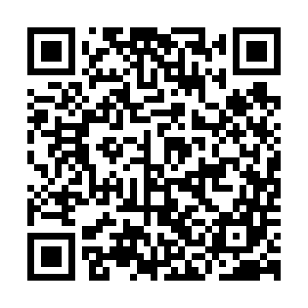 QR code for ICA647