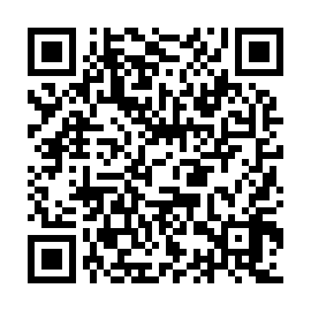 QR code for ICZ918