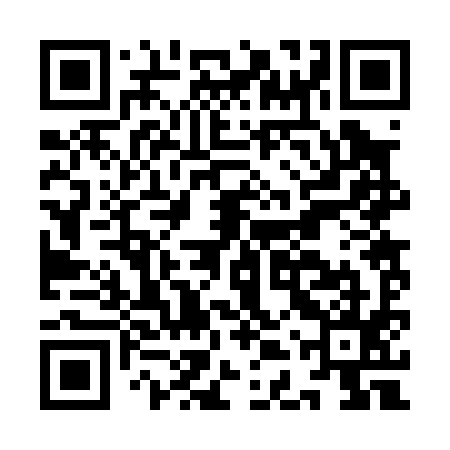 QR code for IDR095