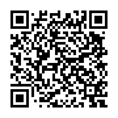 QR code for IDS411