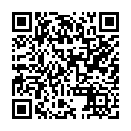 QR code for IEE973