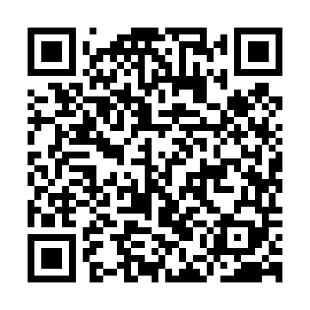 QR code for IEI449