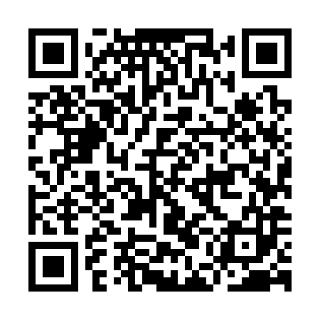 QR code for IEM383