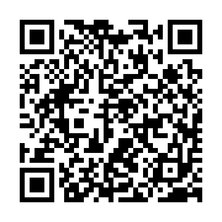 QR code for IER313