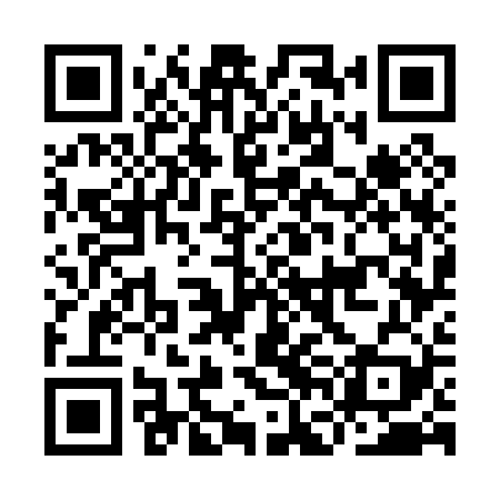 QR code for IFG029