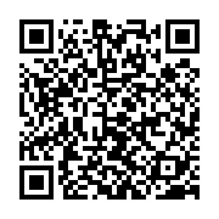 QR code for IFV529