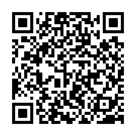 QR code for IGS739