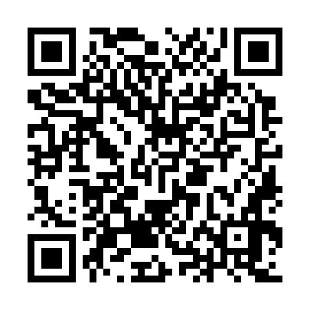 QR code for IHO376