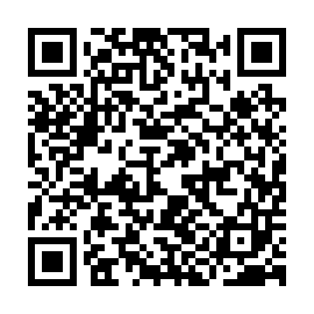 QR code for IIA203