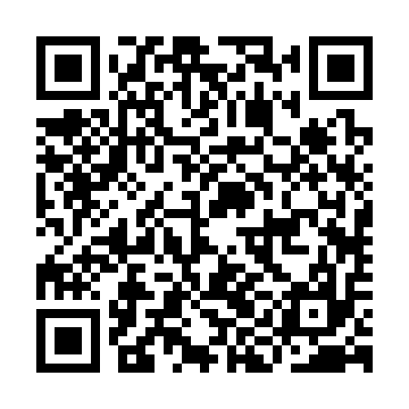 QR code for IIB317
