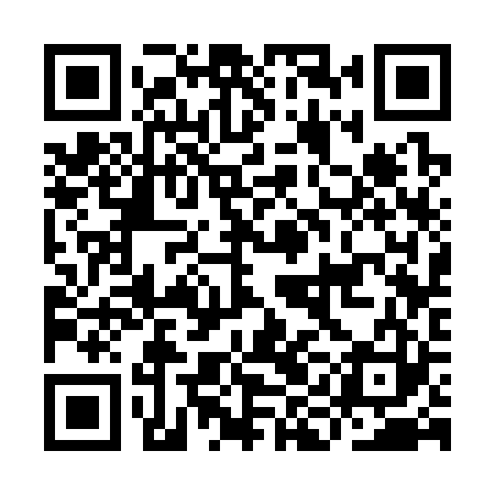 QR code for IIC323
