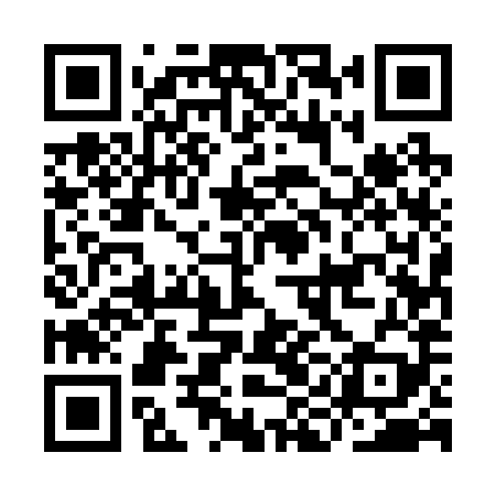 QR code for IIE289