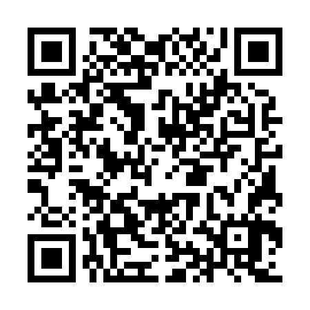 QR code for IIE867