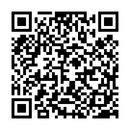 QR code for IIJ461