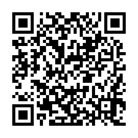 QR code for IIJ954