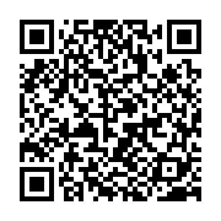 QR code for IIM369